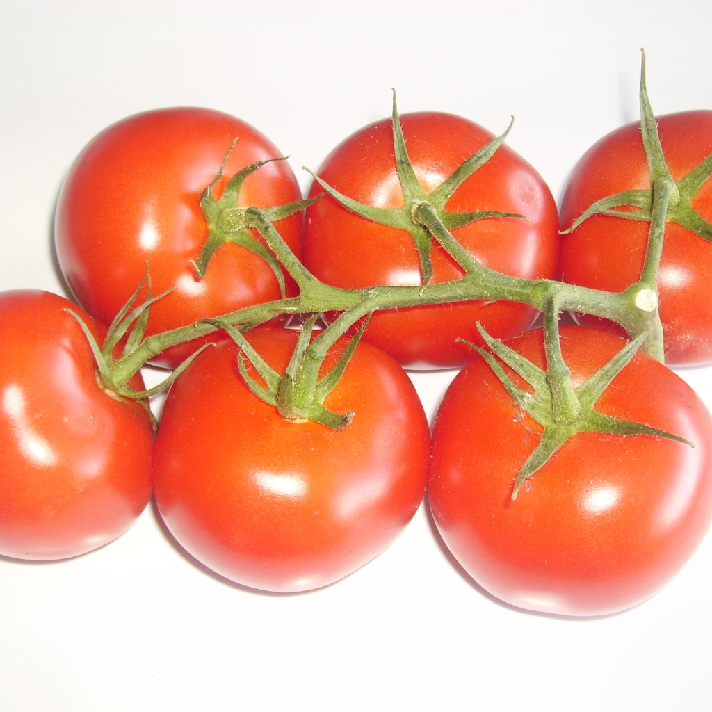 [FL-TOM] Tomates grappe