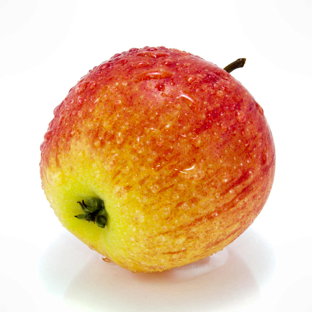 [FL-POM] Pommes Gala