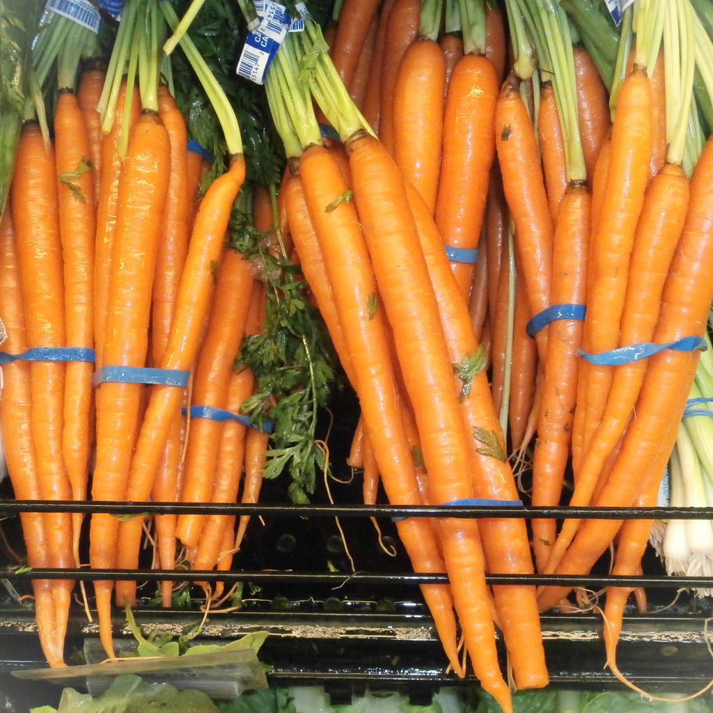 [FL-CAR] Carottes