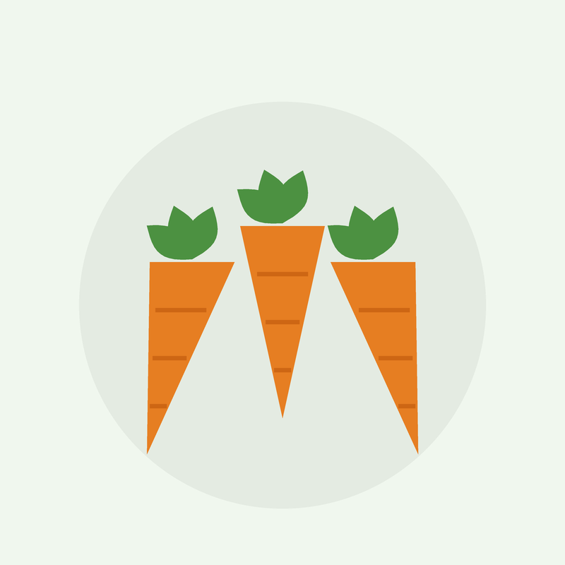 [FL-CAR] Carottes